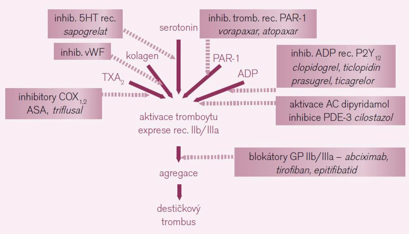 Možnosti inhibice primární hemostázy – vzhledem k řadě možností aktivace trombocytů, máme i řadu léčebných strategií. Tučně jsou uvedeny již zavedené léky, slabě léky ve vývoji či u nás nedostupné (vysvětlivky: COX – cyklo-oxygenáza, 5HT – serotonin, PAR-1 – proteázou aktivované receptory 1 neboli receptory trombinové, ADP – adenozin difosfát, AC – adenylát-cykláza, PDE-3 – fosfodiesteráza 3).
