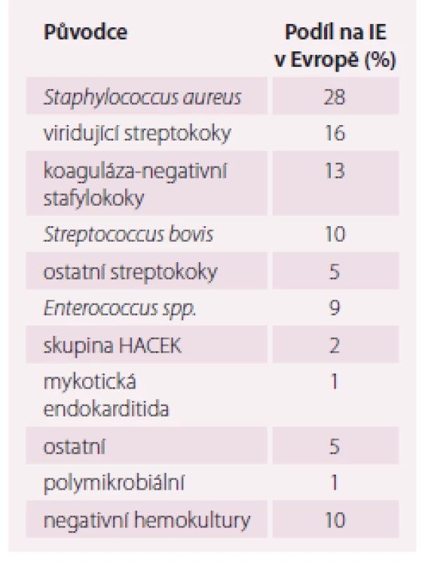 Nejčastější původci infekční endokarditidy [7].