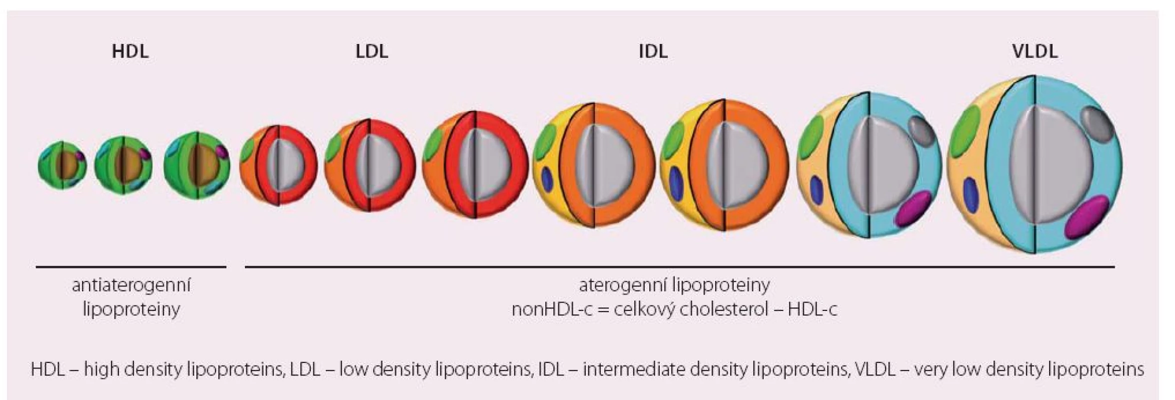 Spektrum lipoproteinů plazmy podle aterogenního potenciálu.
