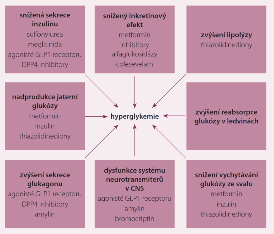 Patofyziologie hyperglykemie (DeFronzův oktet).