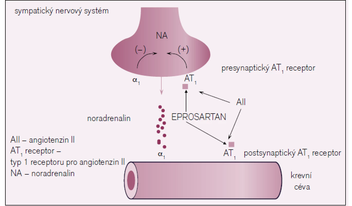 Mechanizmus účinku eprosartanu.
