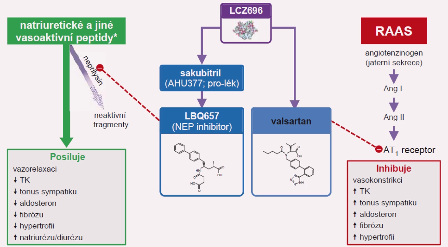 Sakubitril-valsartan (Entresto) inhibuje neprilysil (NEP) a současně blokuje AT&lt;sub&gt;1&lt;/sub&gt; receptor.