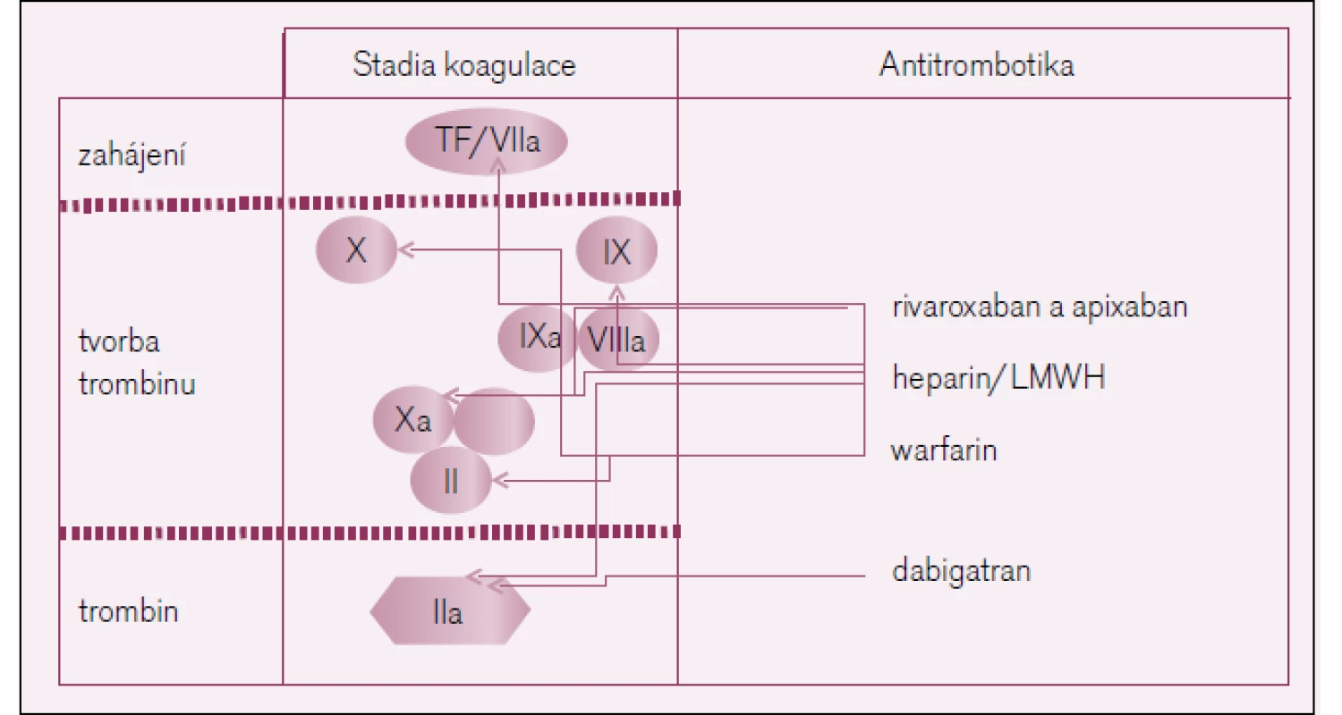 Účinek antikoagulancií v různých úsecích koagulační kaskády.