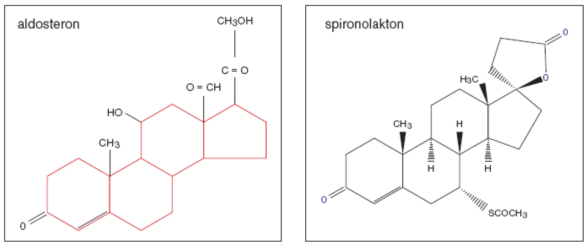 Aldoste­ron a je­ho nespe­ci­fický kompe­ti­tivní inhi­bi­tor spi­ro­no­lakton.