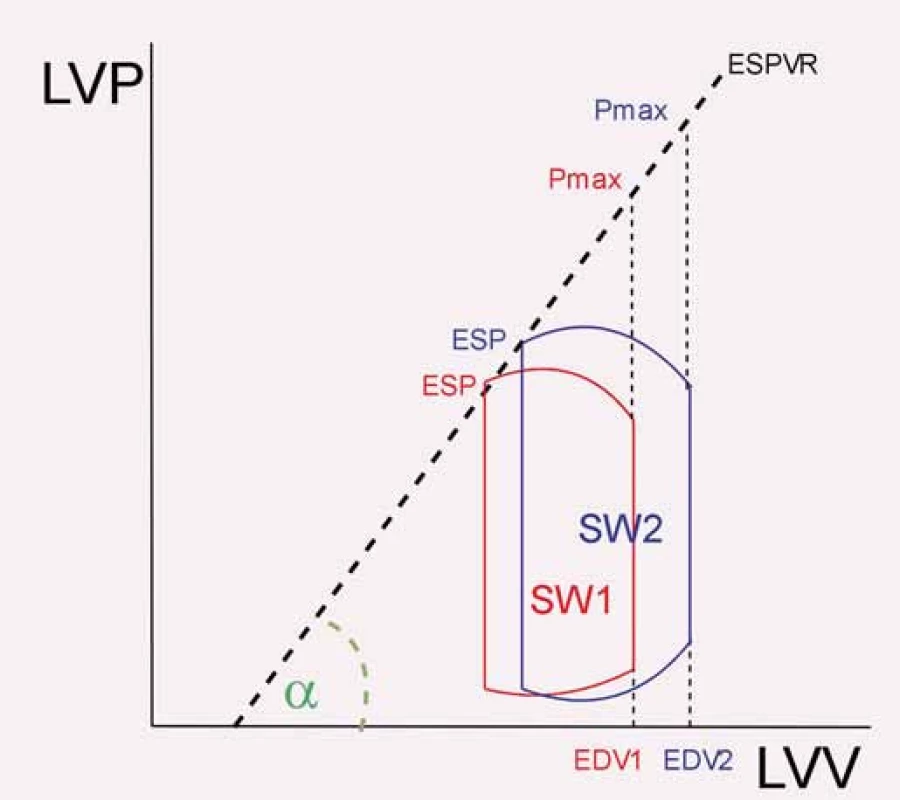 Znázornění endsystolické elastance. End-systolic pressure volume relationship (ESPVR) je zjednodušeně (v podobě tzv. lineárního vyjádření) spojnicí maximálního tlaku dosažitelného při čistě izovolumické kontrakci (Pmax) a průsečíku ESP a ESV v průběhu běžného srdečního cyklu. I při různé náplni levé komory se přímka významněji (nikoli ale vůbec) nemění – znázorněny jsou 2 různé cykly. Sklon křivky ESPVR (tg a) se pak nazývá slope of ESPVR.