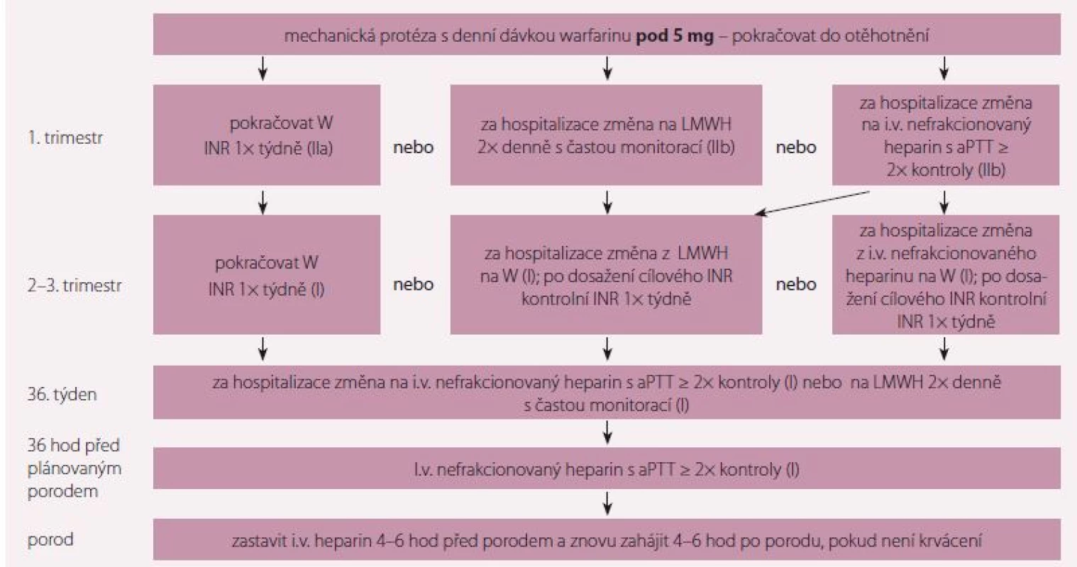 Doporučení k antikoagulační léčbě u pacientek s mechanickou chlopenní náhradou a denní dávkou warfarinu pod 5 mg. Upraveno
podle [1].