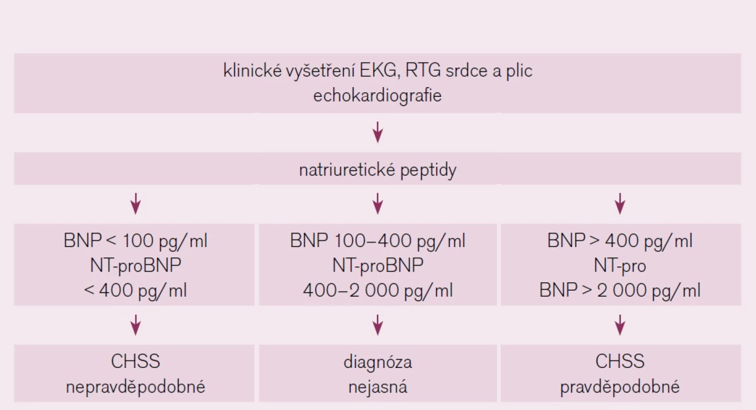 Diagnostika CHSS pomocí natriuretických peptidů dle doporučení ČKS.