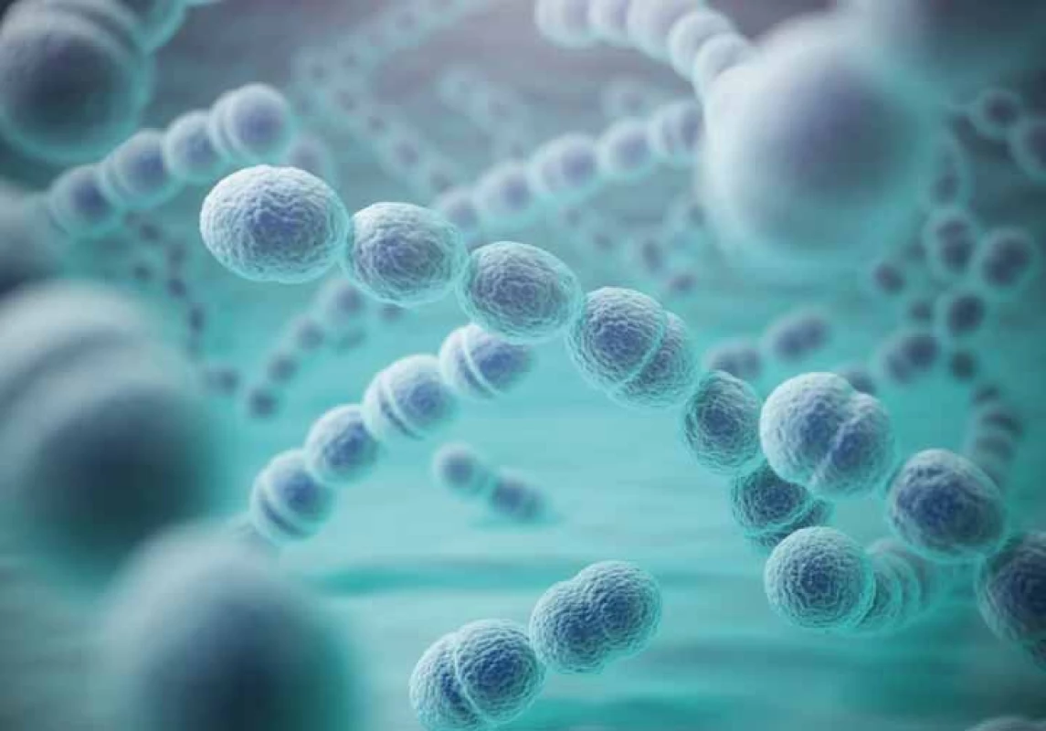 3D ilustrace ukazující bakterie Streptococcus pneumoniae. Zdroj: shutterstock.com.