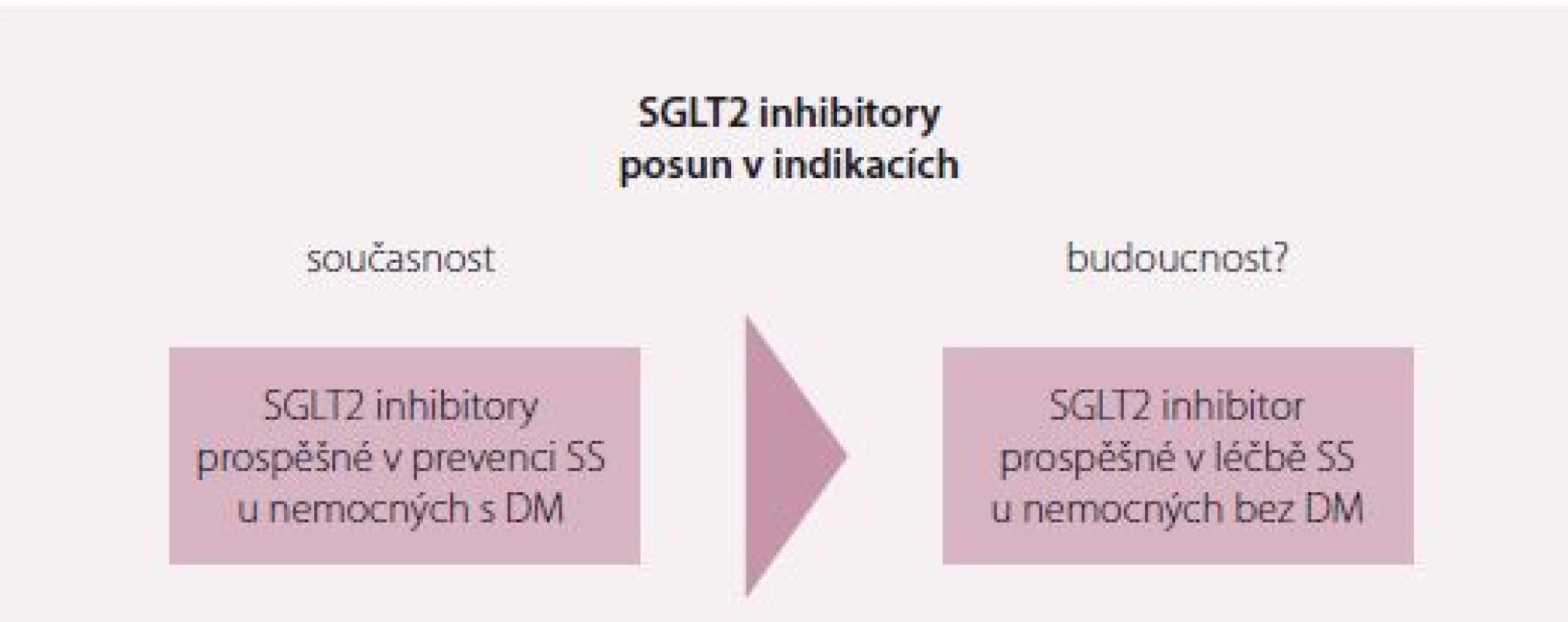 SGLT2 v primární a sekundární prevenci prevenci pacientů s DM 2. typu. Upraveno dle [17].<br>
SS – srdeční selhání; DM – diabetes mellitus; KV – kardiovaskulární